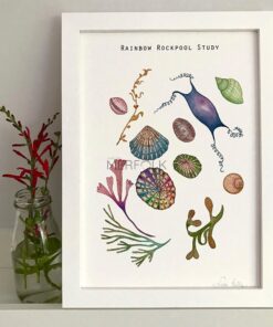 Framed Rainbow Rockpool Study A4 Print theat can be personalised