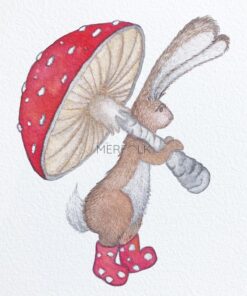 Hamish Hare Close Up and Mushroom