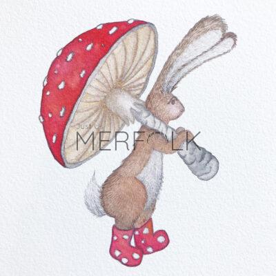 Hamish Hare Close Up and Mushroom