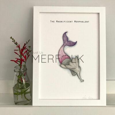 Framed original watercolour painting of the magnificent merphalent