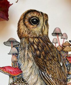 Owl and mushrooms close up head