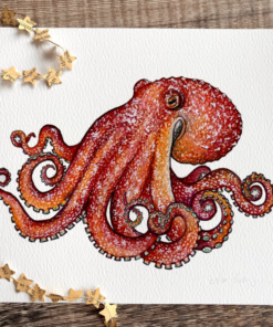 curled octopus british octopus watercolour print